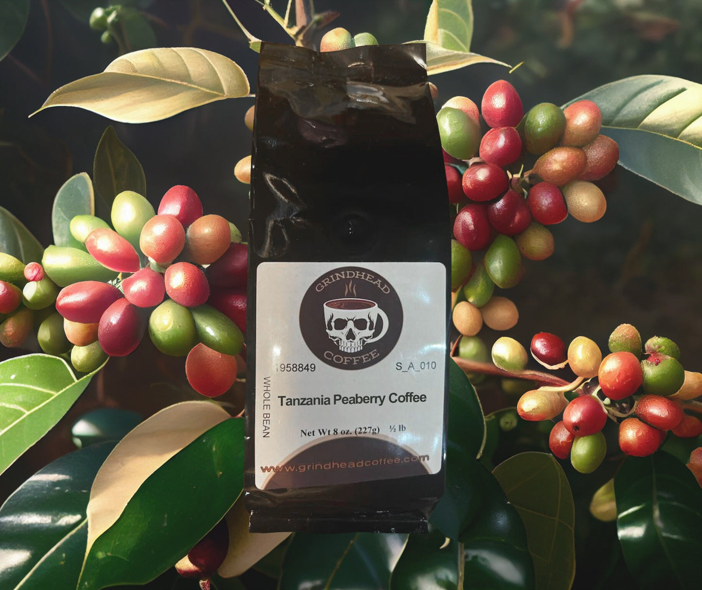 Peaberry Coffee from Tanzania - Coffee Lover Gift - light medium bodied brew