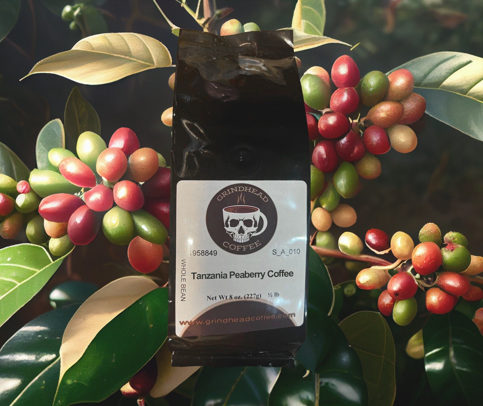 Peaberry Coffee from Tanzania  - Coffee Lover Gift - light medium bodied brew
