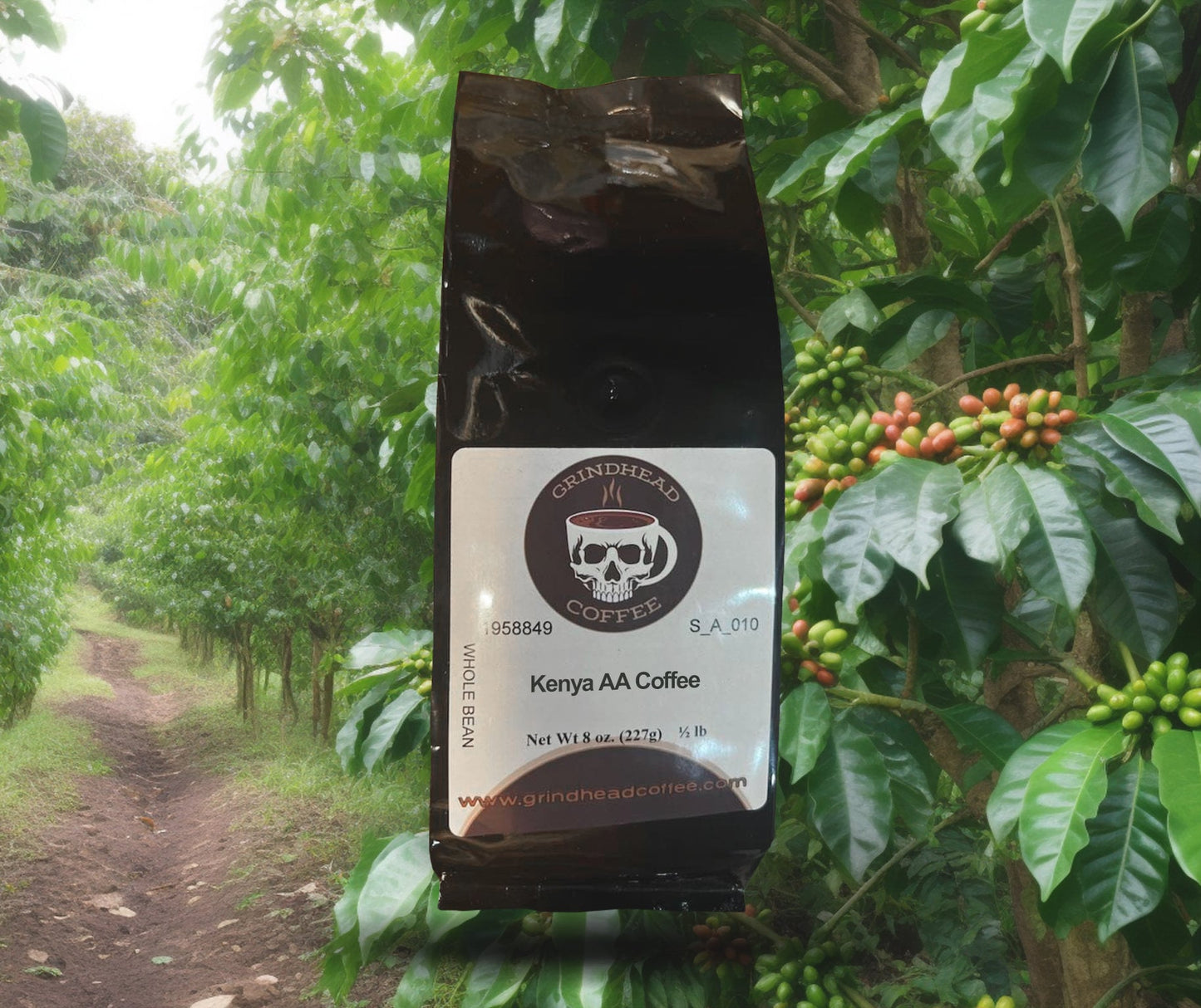 Kenya AA Coffee - Coffee Lover Gift - medium-bodied brew -hints of fruit